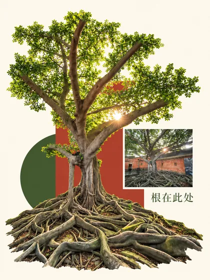 照片游乐场 实测成品缩略图